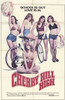 Cherry Hill High Movie Poster (11 x 17) - Item # MOV203547