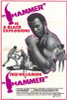 Hammer Movie Poster Print (27 x 40) - Item # MOVGH8343