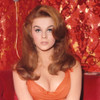 Ann Margret - Headshot Red Photo Print (8 x 10) - Item # DAP11470