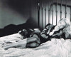 Anne Francis - Black Outfit Bed Photo Print (10 x 8) - Item # DAP11282