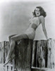 Ava Gardner - Wood Stump Photo Print (8 x 10) - Item # DAP12088