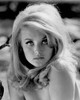 Barbara Bouchet - Headshot Photo Print (8 x 10) - Item # DAP12139