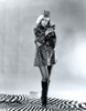 Barbara Eden - Animal Print 2 Photo Print (8 x 10) - Item # DAP12231