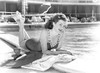 Barbara Hale - Poolside Photo Print (10 x 8) - Item # DAP12319