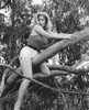 Betty Brosmer - Tree Photo Print (8 x 10) - Item # DAP12825