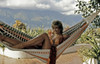 Claudia Cardinale - Hammock 2  Photo Print (10 x 8) - Item # DAP15416