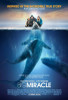 Big Miracle Movie Poster Print (27 x 40) - Item # MOVCB38494