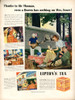 Deanna Durbin - Lipton's Tea Ad Photo Print (8 x 10) - Item # DAP16273