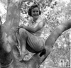 Debbie Reynolds- Sitting in a tree hands on lap Photo Print (10 x 8) - Item # DAP16507
