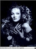 Marlene Dietrich - 1940, Photo by John Engstead Photo Print (8 x 10) - Item # DAP18489