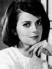 Natalie Wood - Hand Under Chin Photo Print (8 x 10) - Item # DAP19804