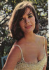 Natalie Wood - Net Dress Photo Print (8 x 10) - Item # DAP19706