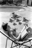 Natalie Wood - Reading Poolside with Stuffed Animals 4 Photo Print (8 x 10) - Item # DAP110004