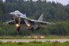 MiG-29SMT jet fighter of Russian Air Force landing. Poster Print by Artem Alexandrovich/Stocktrek Images - Item # VARPSTANK100270M