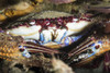 Crab, Anilao, Philippines. Poster Print by Brook Peterson/Stocktrek Images - Item # VARPSTBRP400324U Crab, Anilao, Philippines. Poster Print by Brook Peterson/Stocktrek Images - Item # VARPSTBRP400324U