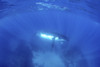 A mother humpback whale and her calf hover over a shallow reef. Poster Print by Brook Peterson/Stocktrek Images (17 x 11 - Item # VARPSTBRP400411U