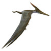 Pteranodon flying reptile, side view. Poster Print by Corey Ford/Stocktrek Images - Item # VARPSTCFR200969P