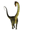 Barosaurus dinosaur on white background. Poster Print by Corey Ford/Stocktrek Images - Item # VARPSTCFR601060P