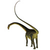 Barosaurus dinosaur, rear view of tail. Poster Print by Corey Ford/Stocktrek Images - Item # VARPSTCFR601062P