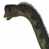 Europasaurus dinosaur head. Poster Print by Corey Ford/Stocktrek Images - Item # VARPSTCFR601065P