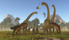 Three predatory Mapusaurus dinosaurs surround a herd of Sauroposeidon. Poster Print by Corey Ford/Stocktrek Images (17 x - Item # VARPSTCFR601070P