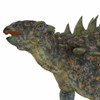 Polacanthus dinosaur head. Poster Print by Corey Ford/Stocktrek Images - Item # VARPSTCFR601074P