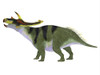 Anchiceratops dinosaur, side profile. Poster Print by Corey Ford/Stocktrek Images - Item # VARPSTCFR601093P Anchiceratops dinosaur, side profile. Poster Print by Corey Ford/Stocktrek Images - Item # VARPSTCFR601093P