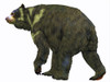Arctodus bear, white background. Poster Print by Corey Ford/Stocktrek Images - Item # VARPSTCFR601102P Arctodus bear, white background. Poster Print by Corey Ford/Stocktrek Images - Item # VARPSTCFR601102P