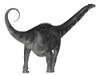 Argentinosaurus dinosaur, rear view. Poster Print by Corey Ford/Stocktrek Images - Item # VARPSTCFR601103P