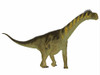 Camarasaurus dinosaur, side profile. Poster Print by Corey Ford/Stocktrek Images - Item # VARPSTCFR601120P