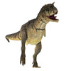 Carnotaurus dinosaur, front view. Poster Print by Corey Ford/Stocktrek Images - Item # VARPSTCFR601125P