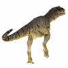 Carnotaurus dinosaur, rear view. Poster Print by Corey Ford/Stocktrek Images - Item # VARPSTCFR601126P