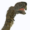 Citipati female dinosaur head. Poster Print by Corey Ford/Stocktrek Images - Item # VARPSTCFR601133P