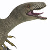 Dakotaraptor dinosaur head. Poster Print by Corey Ford/Stocktrek Images - Item # VARPSTCFR601142P