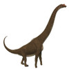 Giraffatitan dinosaur, side profile. Poster Print by Corey Ford/Stocktrek Images - Item # VARPSTCFR601156P
