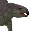 Lotosaurus dinosaur head. Poster Print by Corey Ford/Stocktrek Images - Item # VARPSTCFR601169P