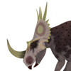 Rubeosaurus dinosaur head. Poster Print by Corey Ford/Stocktrek Images - Item # VARPSTCFR601187P