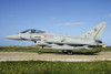 Italian Air Force F-2000A Typhoon taxiing at Trapani Air Base, Italy. Poster Print by Daniele Faccioli/Stocktrek Images - Item # VARPSTDFC100430M