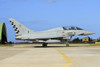 Italian Air Force F-2000B Typhoon taxiing at Trapani Air Base, Italy. Poster Print by Daniele Faccioli/Stocktrek Images - Item # VARPSTDFC100433M