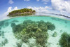 A beautiful coral reef grows near an island in Raja Ampat, Indonesia. Poster Print by Ethan Daniels/Stocktrek Images (17 - Item # VARPSTETH401455U