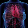 Female chest with heart and circulatory system, x-ray style. Poster Print by Hank Grebe/Stocktrek Images - Item # VARPSTHAG700061H