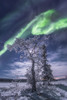 Northern lights, Yukon, Canada. Poster Print by Jonathan Tucker/Stocktrek Images - Item # VARPSTJTC200071S