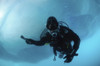 Diver by iceberg, west coast, Greenland. Poster Print by Morten Beier/Stocktrek Images - Item # VARPSTMBE400023U