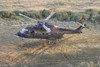 HH-101A Caesar Combat-SAR helicopter of the Italian Air Force. Poster Print by Riccardo Niccoli/Stocktrek Images (17 x 1 - Item # VARPSTRCN100429M