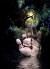 Tree with hand. Poster Print by Bruce Rolff/Stocktrek Images - Item # VARPSTRFF200023S