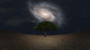 Surrealism. Green tree in arid land. Galaxy in night sky. Poster Print by Bruce Rolff/Stocktrek Images - Item # VARPSTRFF200272S