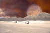 Surreal desert planet with arbors. Giant moon in red sky Poster Print by Bruce Rolff/Stocktrek Images - Item # VARPSTRFF200312S