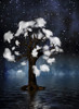 Tree surrounded by clouds Poster Print by Bruce Rolff/Stocktrek Images - Item # VARPSTRFF200541S