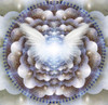 Shining wings in a center of Indian mandala. Poster Print by Bruce Rolff/Stocktrek Images - Item # VARPSTRFF200714S