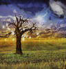 Old tree with light bulbs stands in green field. Bright star and galaxy in the sky. Poster Print by Bruce Rolff/Stocktre - Item # VARPSTRFF200789S